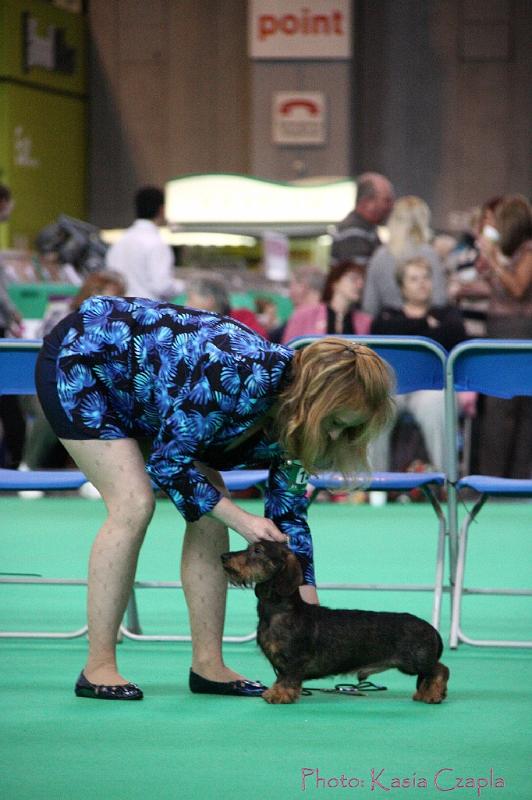 Crufts2011_2 837.jpg